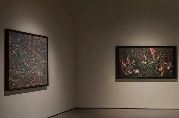 09 张明明作品展出现场