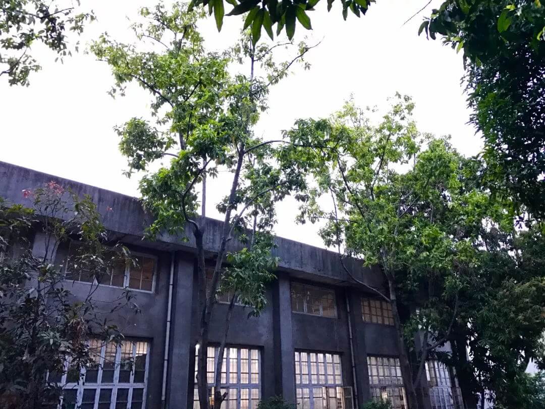 丁丁艺术空间